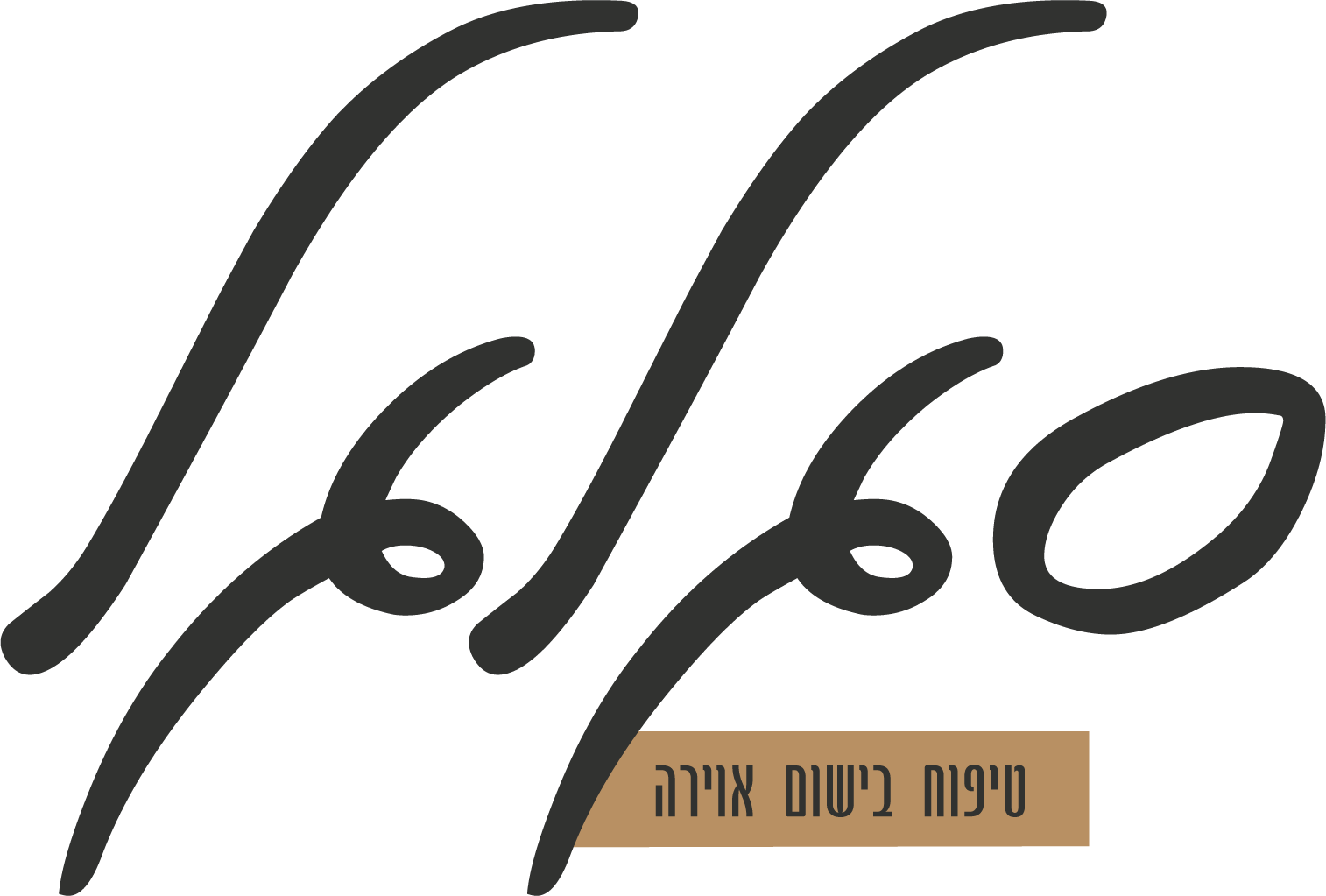 סגלגל בע"מ.logo