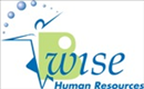 B-wise HR גיוס והשמה להייטק.logo