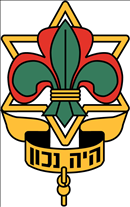 תנועת נוער הצופים.logo
